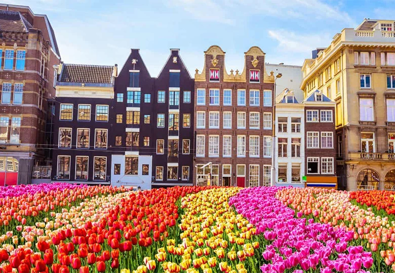 The Netherlands has loved tulips since the 16th century