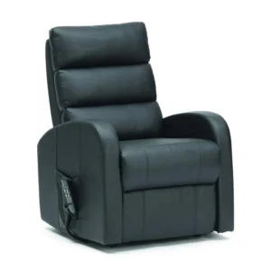 Three Tier Back Dual Motor Riser Recliner